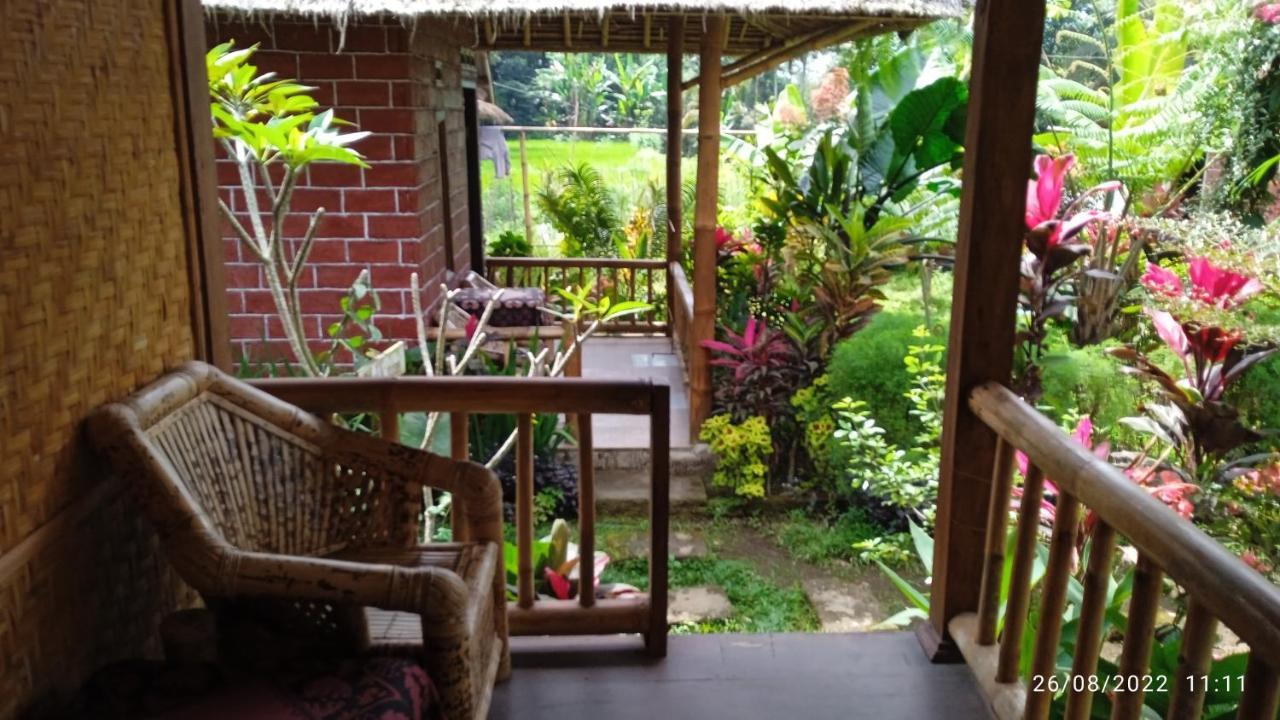 Ariel Lodge *