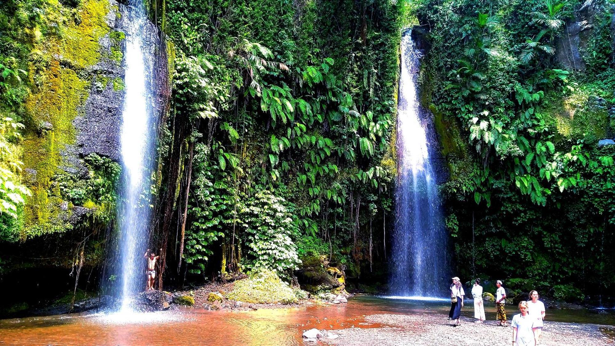 Ariel * Tetebatu