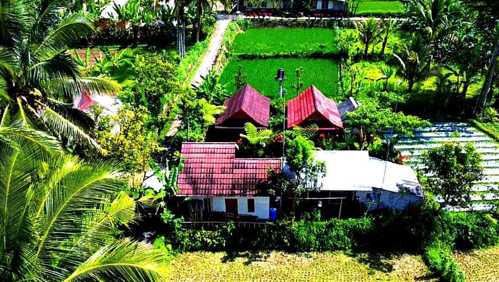Ariel Lodge