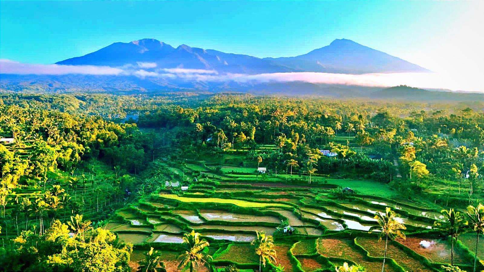 Lodge Ariel Tetebatu