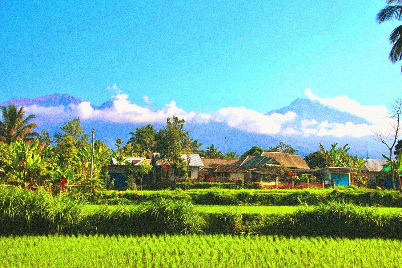 Ariel Lodge *