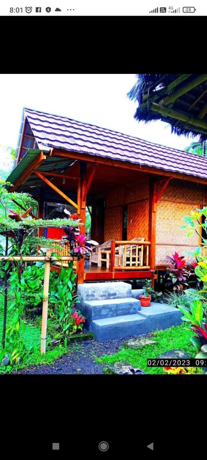 Lodge Ariel
