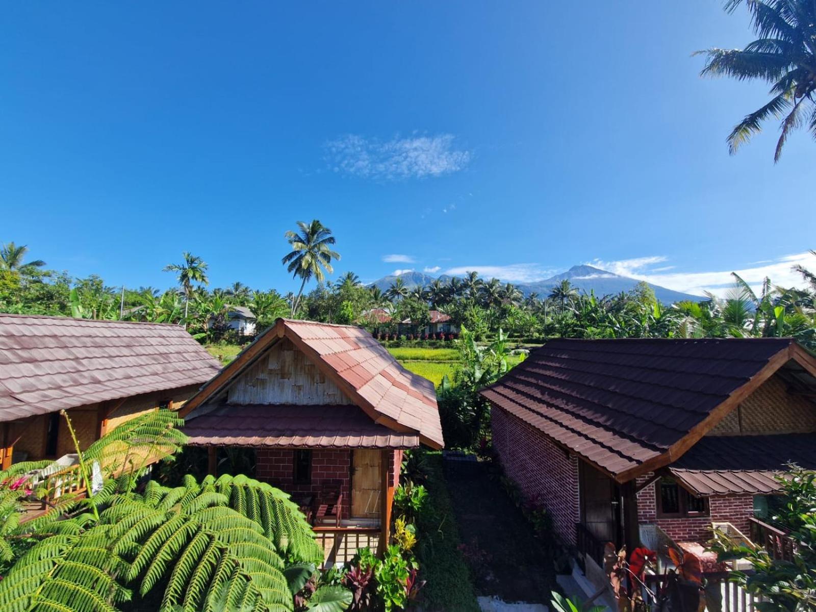 Ariel * Tetebatu