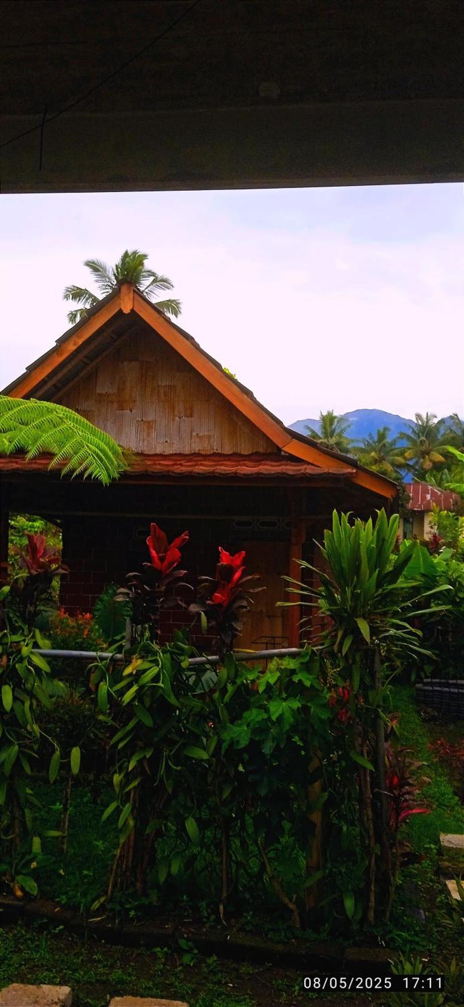 Ariel Lodge Tetebatu
